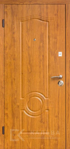 Фото №2 «Входная дверь тёмный шоколад объёмная геометрия панель дуб №197»